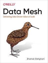Data Mesh: Delivering Data-Driven Value at Scale 1st Edition