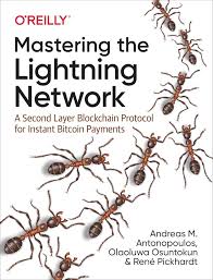 Mastering the Lightning Network: A Second Layer Blockchain Protocol for Instant Bitcoin Payments 1st Edition